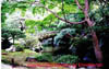 To go to the Imperial Gardens Photographs Click here
